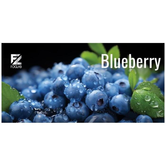 blueberry-700x700